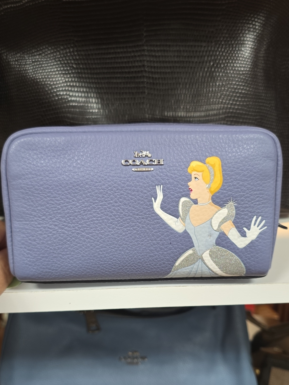 NWT COACH Leather Small Boxy Bag DISNEY CINDERELLA cosmetic bag